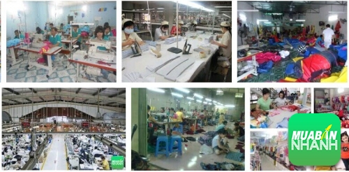 Tìm cho mình các nguồn hàng xưởng tại Việt Nam